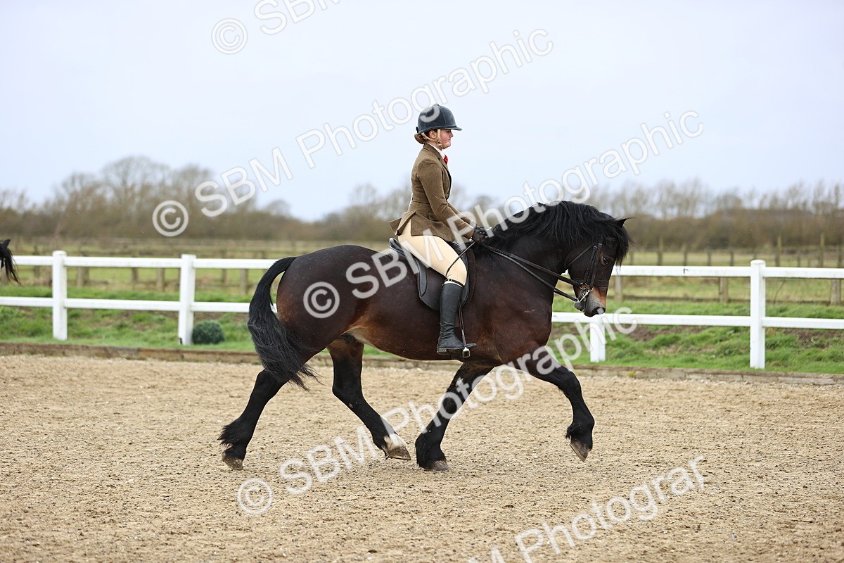 SBM_008180 - Class 33-34 - M&M Open Ridden Small-Large