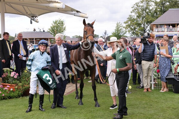 yr19082022r2-55 - Race 2 2.25pm Weatherbys Hamilton Lonsdale Cup (British Champions Series Race)