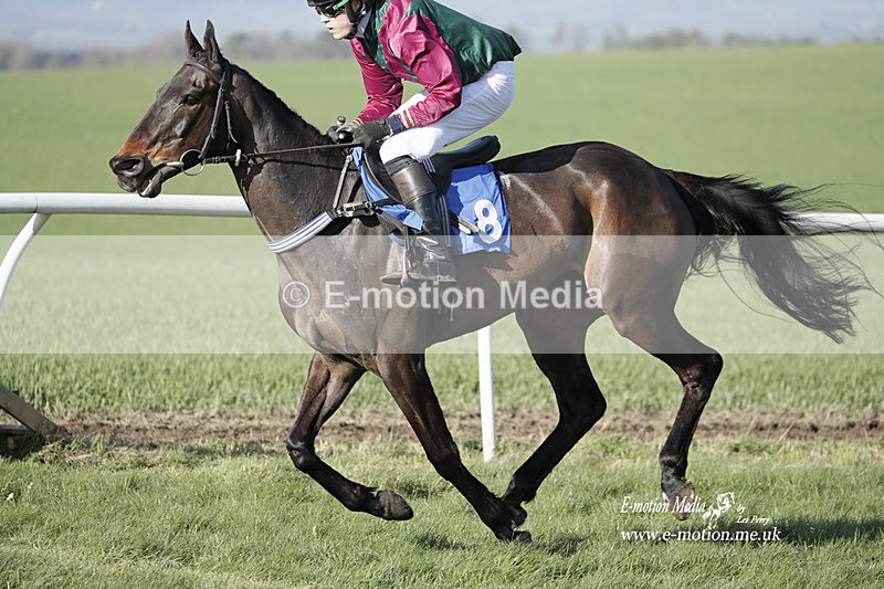 PtP 100423 1268 - Old Berkshire Point-to-Point Lockinge 10/04/23
