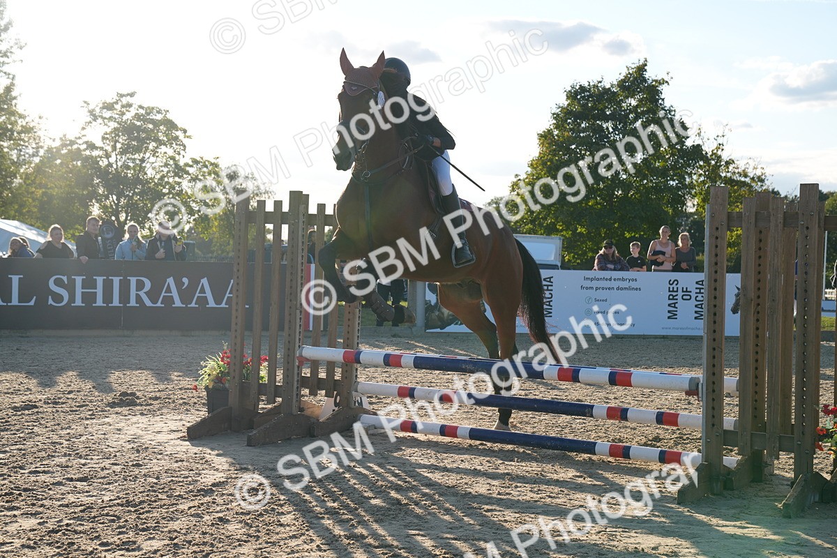 SBM_30063 - J44 - Super Speedy Scurry Open - 70cm