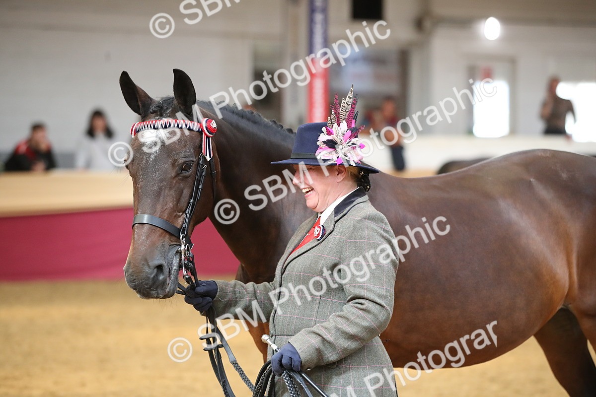SBM_05310 - Class 8R - Regional IH Veteran