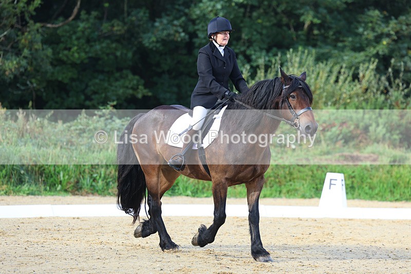 3E7A1874 - Class 1: Intro 4 2024 section A