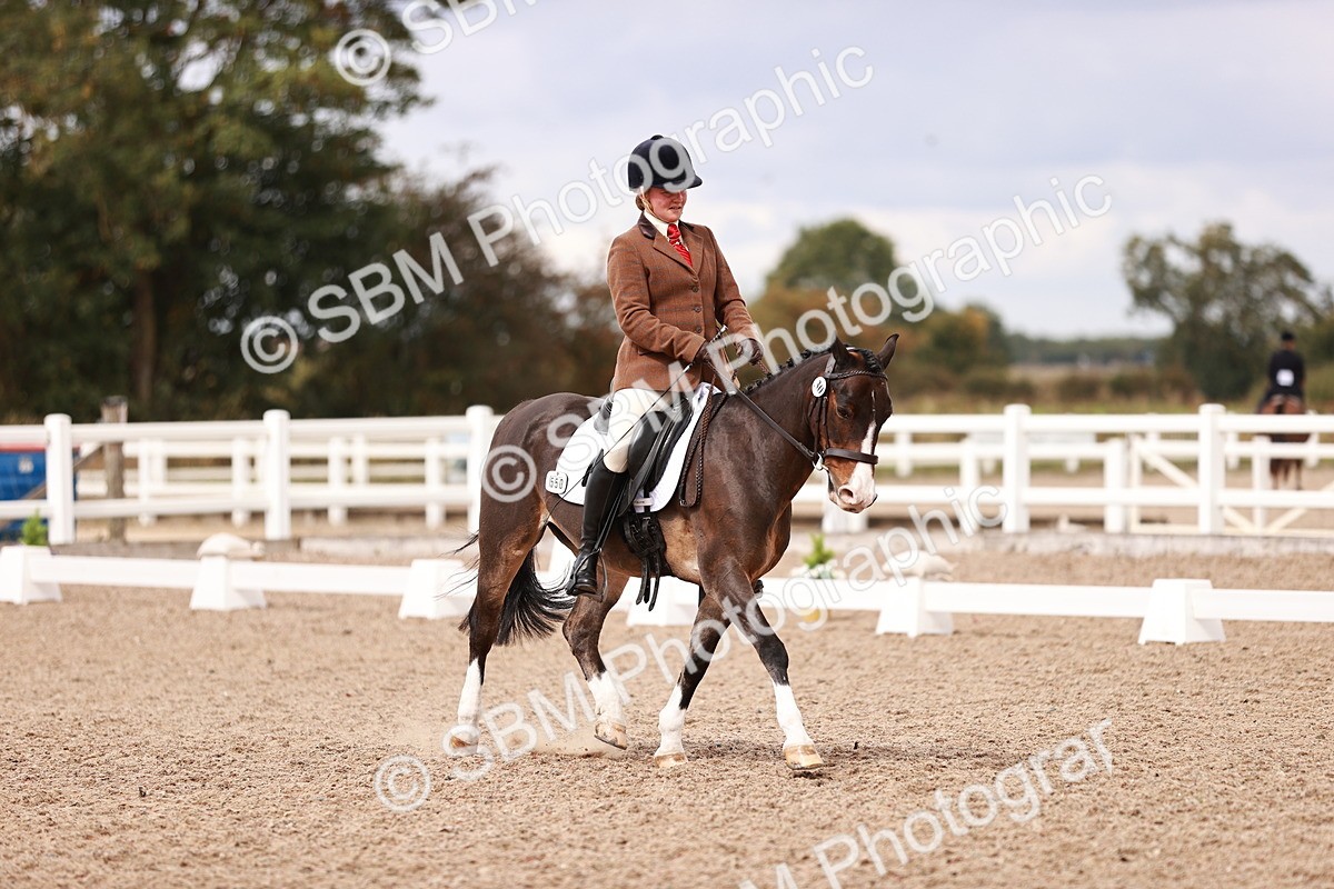 SBM_06255 - Class 37 - Novice 5