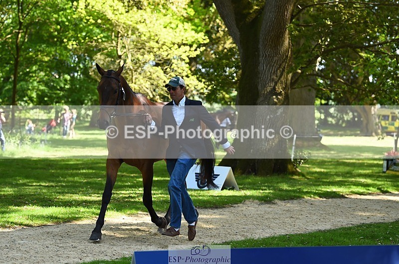 230524-153448-00369 - 360-NO_RUSH_ONE-Marcio_Carvalho_Jorge-WEDTrotUp+DR