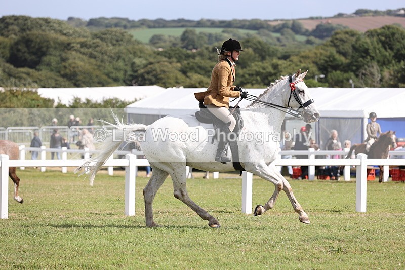 JPP_2506 - Class 20: Working Hunter 70cm