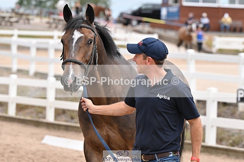 250716-144159-01326 - Trot Up 2.30 to 3.30