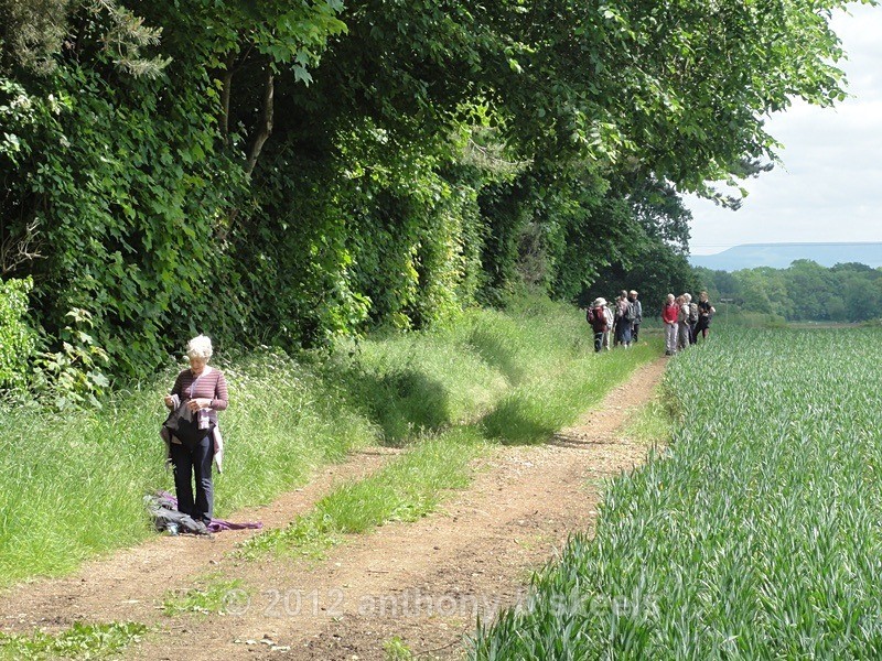 051 Our walk navigator awaits the group's advance - York Minster Walkers Collection 2024