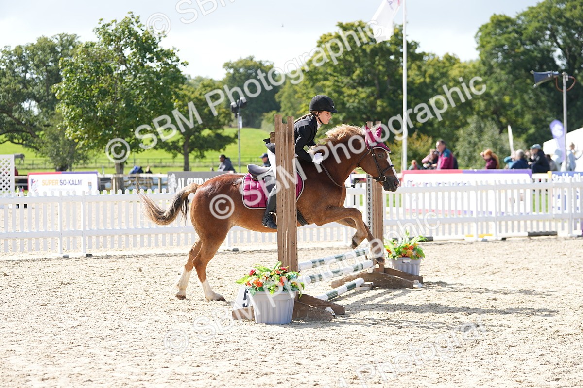 SBM_18000 - J58 - Clear Round 50cm