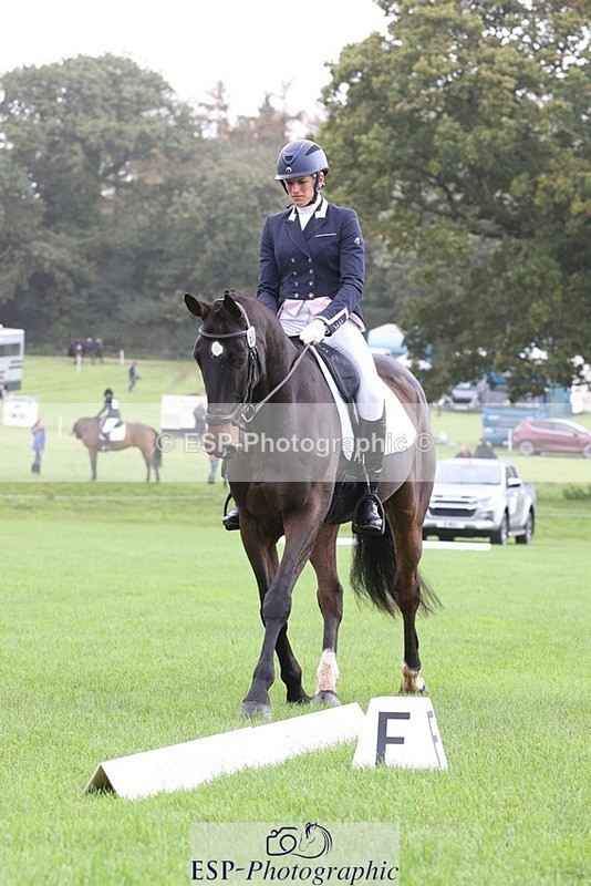 231019-102536-02310 - 603-KILBUNNY.BLUE.BIRD-Claire.Deuten-DR