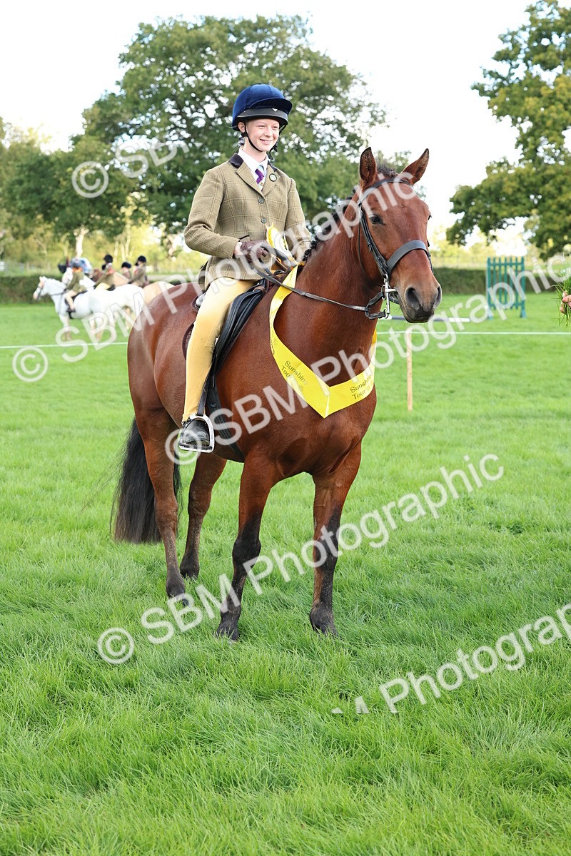 SBM_45562 - S33 - Working Hunter Pony