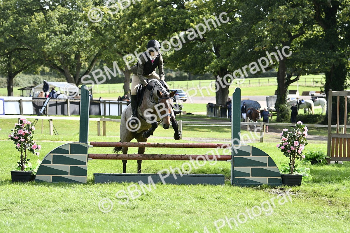 SBM_45673 - S33 - Working Hunter Pony