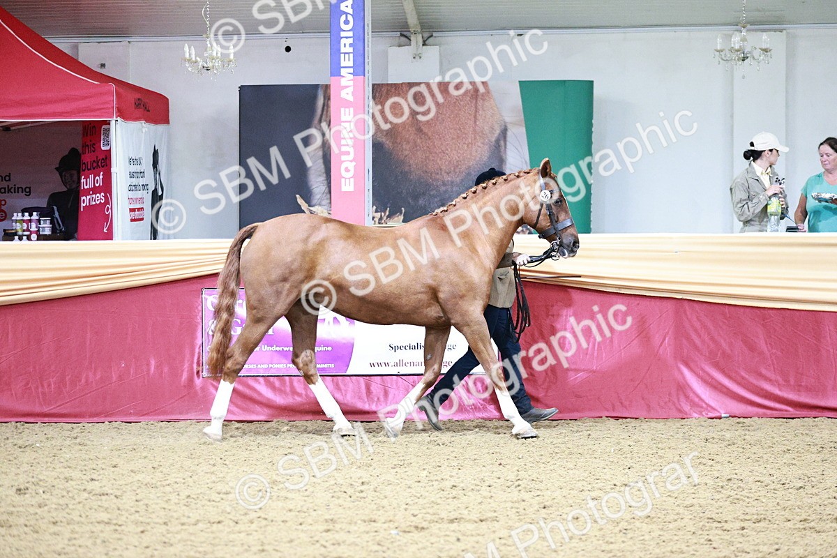 SBM_00164 - Class 1A - Area IH Diamond
