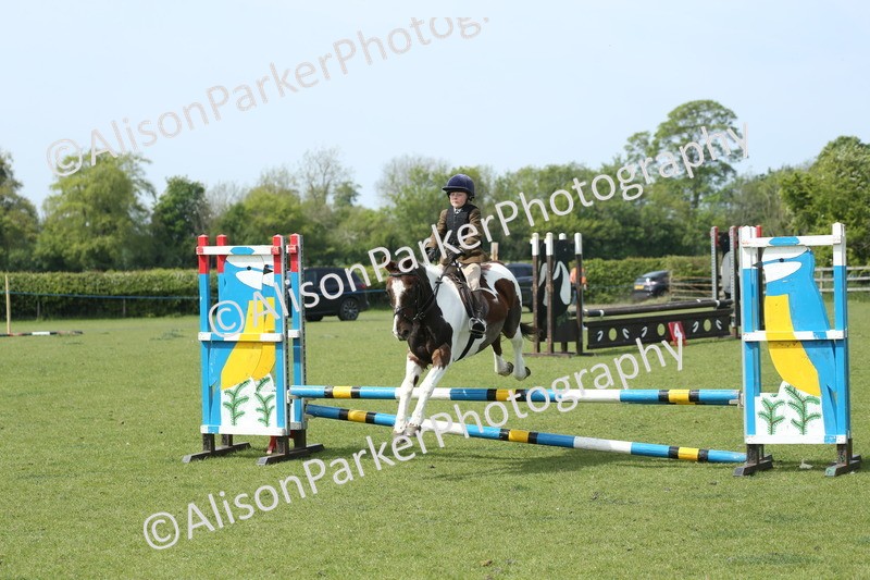 20260426-1777 - Class 14 - Novice 60cm