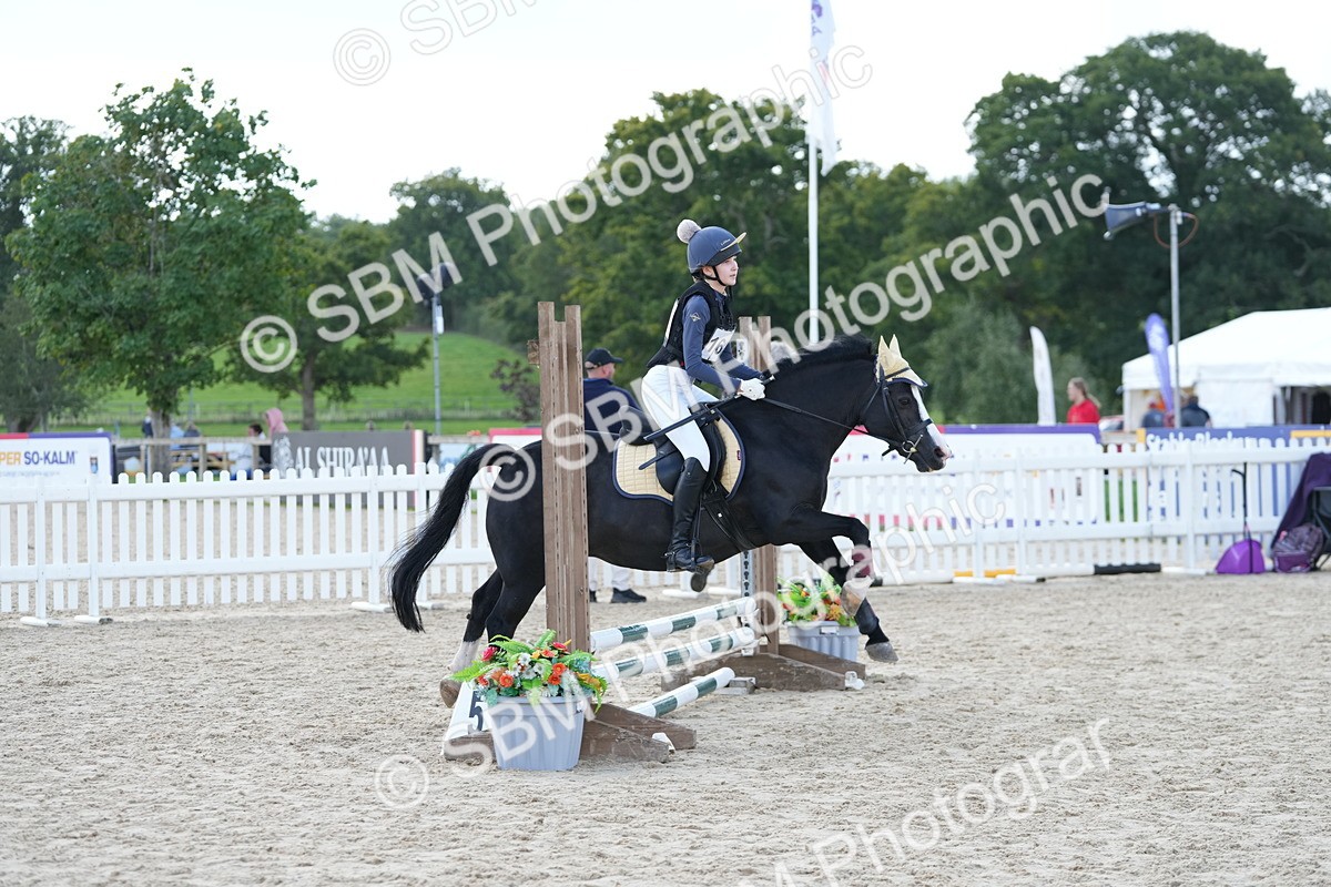 SBM_17743 - J58 - Clear Round 50cm