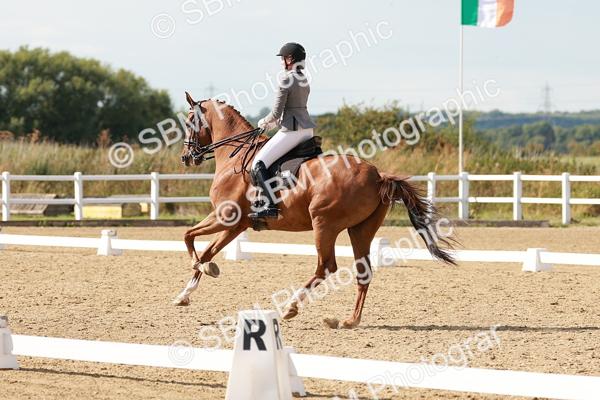 SBM_002565 - Class 11 - Medium 6