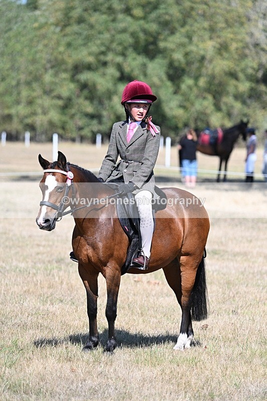 WJ7_4113 - Class 9 Mountain & Moorland Ridden