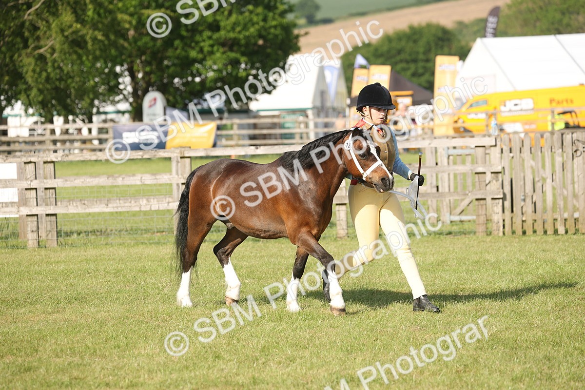 SBM_10357 - Class 33-38 - SSADL RIHS Qualifiers