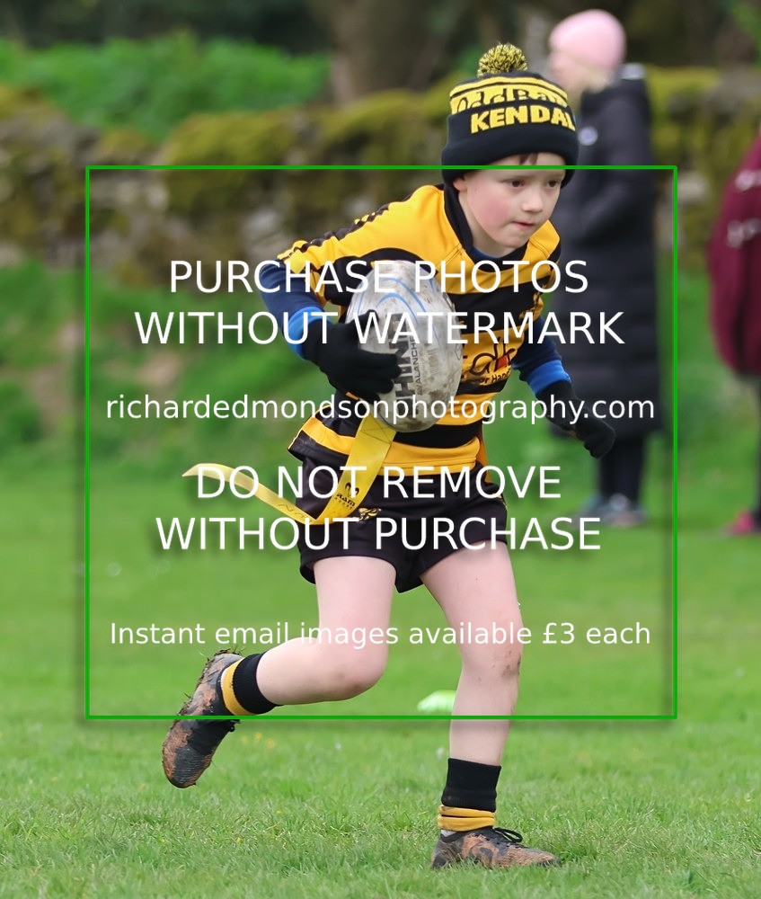 533A5204 - Kendal Rugby Under 7's (12/4/26)