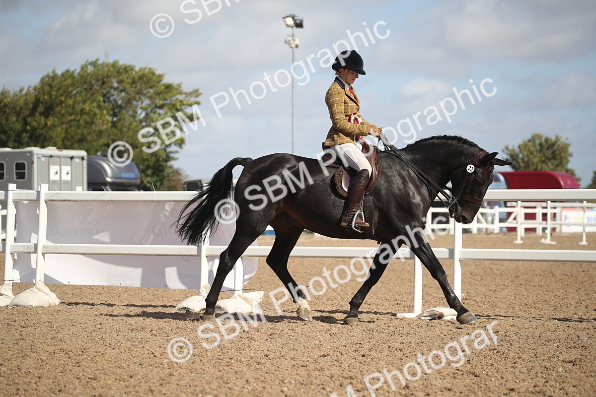 SBM_22891 - Class 602 - 2026 Area - Ridden Veteran
