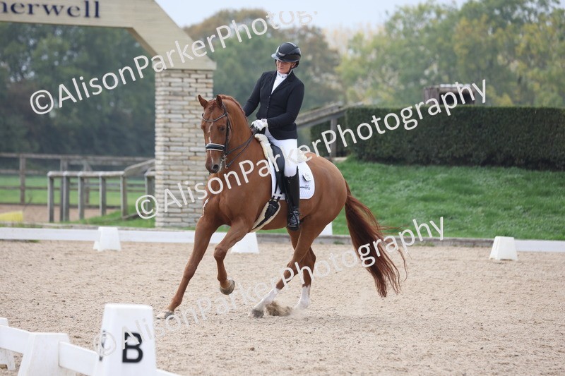 20251012-0808 - Class 9 - Advanced Medium 3