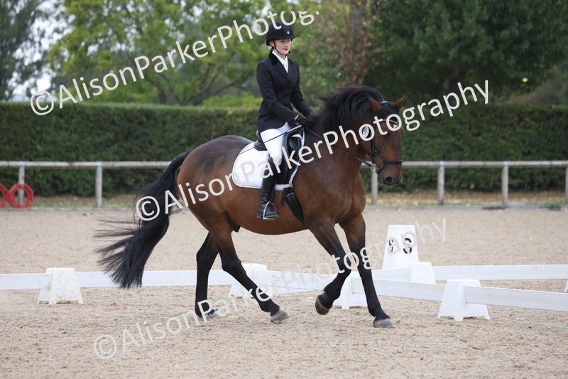 20250820-0350 - Class 11 - My Quest Novice 3