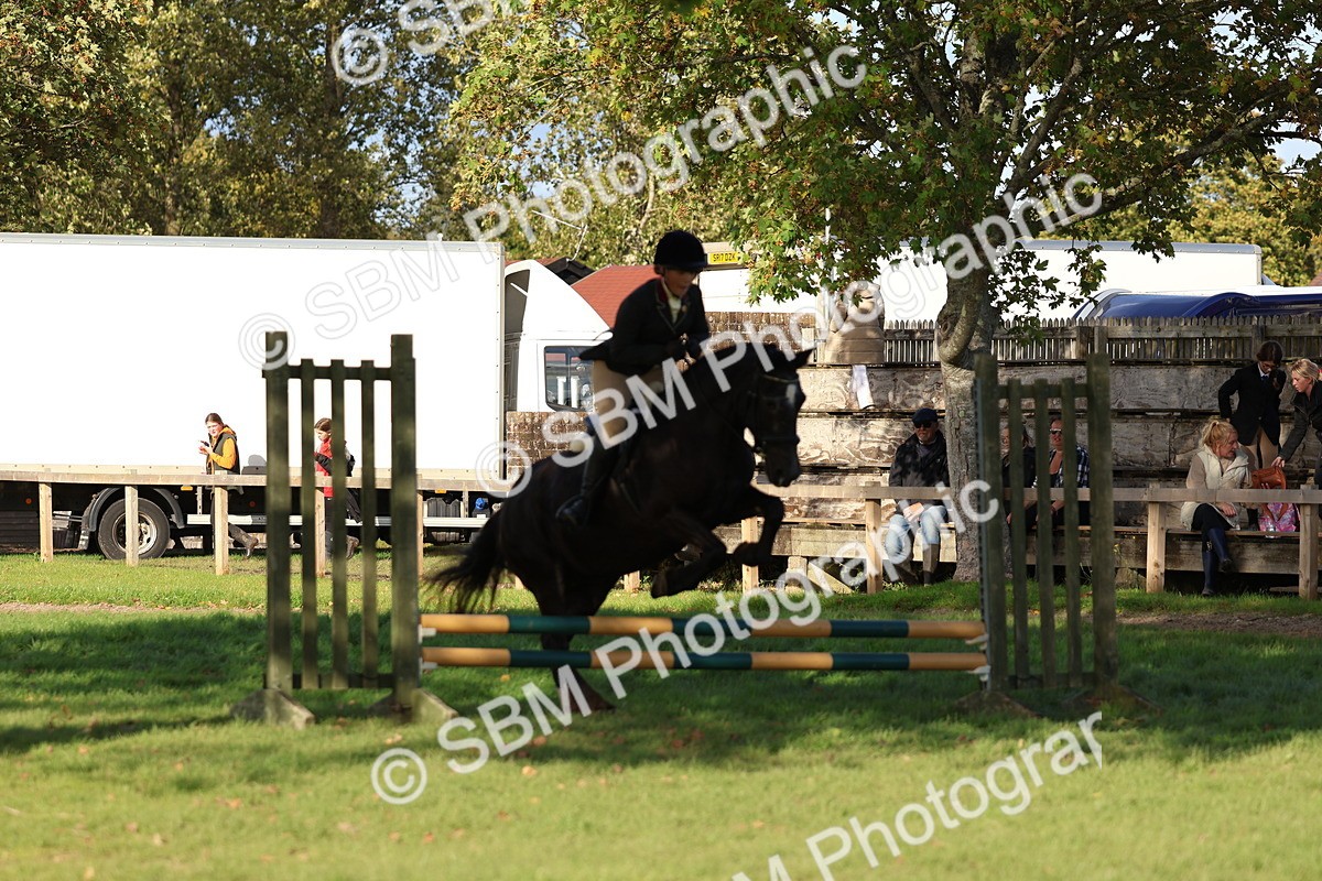 SBM_52526 - S13 - Pony Club Pony