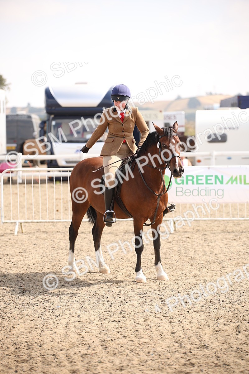 SBM_14193 - Class 407a - Working Veteran 60cm (15-19