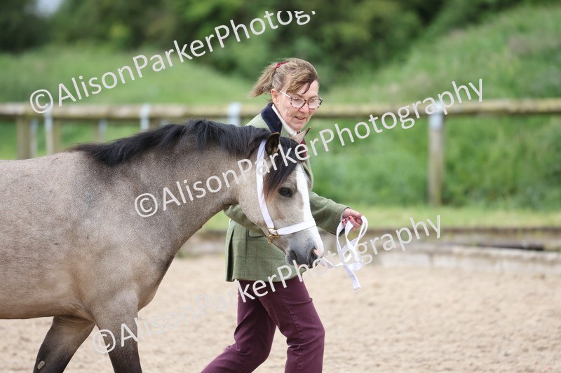 20250524-0100 - Class 2 - Youngstock