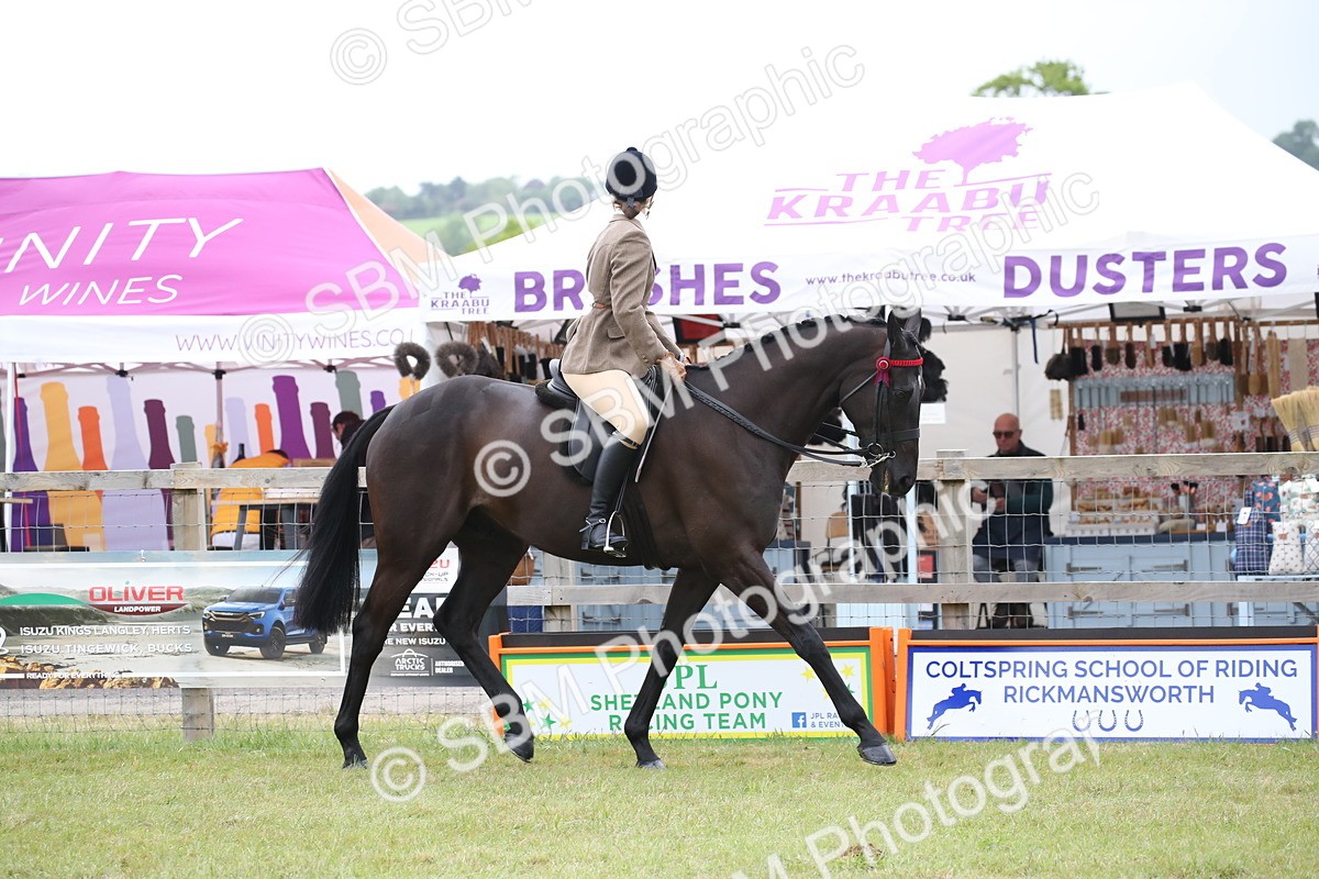 SBM_11416 - Class 94 - LIHS BSHA Racehorse to Showhorse