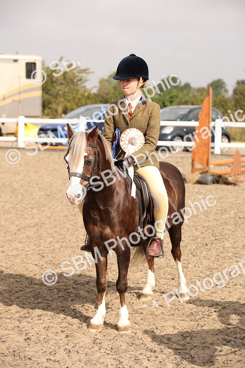 SBM_11707 - Class 404b Junior Working Veteran- 40cm(20+)