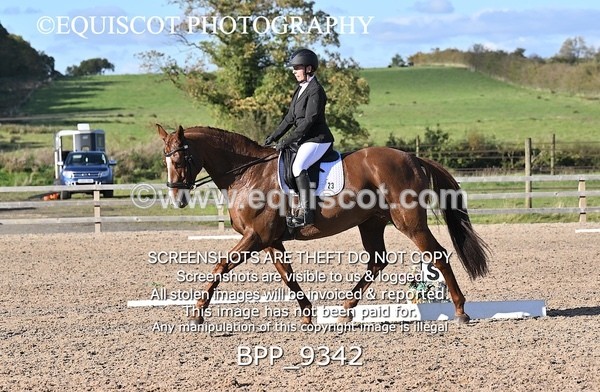 BPP_9342 - LONG ARENA