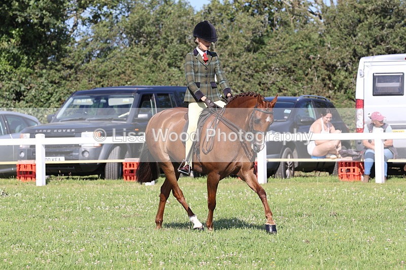 JPP_1493 - Class 18: Cornish Combination Young Rider