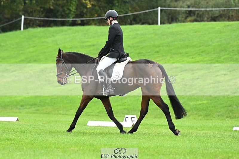 241024-110936-03151 - 504-Harry.Robinson-WHAT.A.WONDER