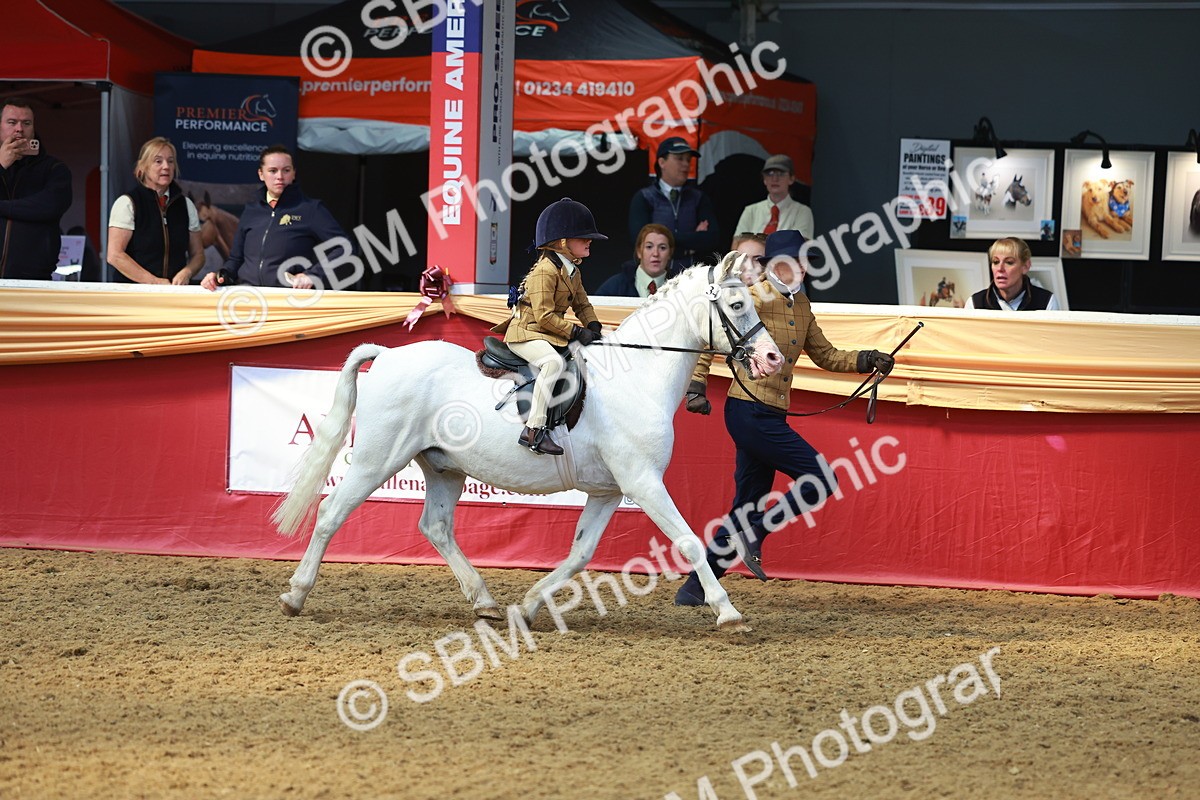 SBM_12744 - HOYS Veteran Qualifier - Ridden Champ
