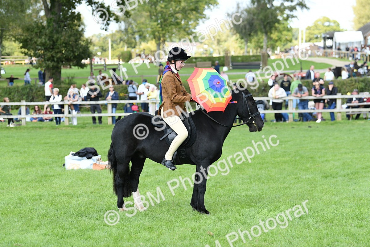 SBM_47069 - S12 - Family Horse & Pony
