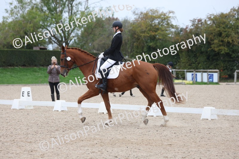 20251011-0531 - Class 6 - Elementary 1