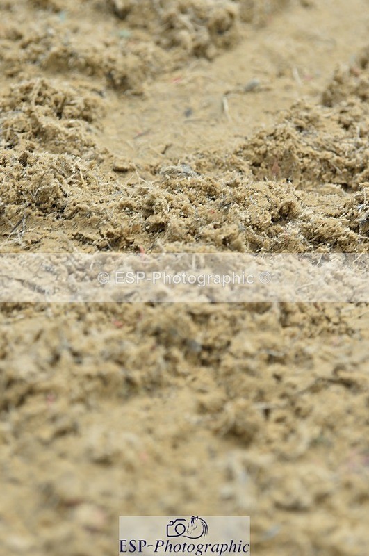 230617-121454-02548 - Cls 09 Blue Chip Pony Newc 1st Rnd