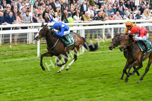 yr13052022r3-30 - Race 3 3.00pm Paddy Power 'I Love Steak' Stakes