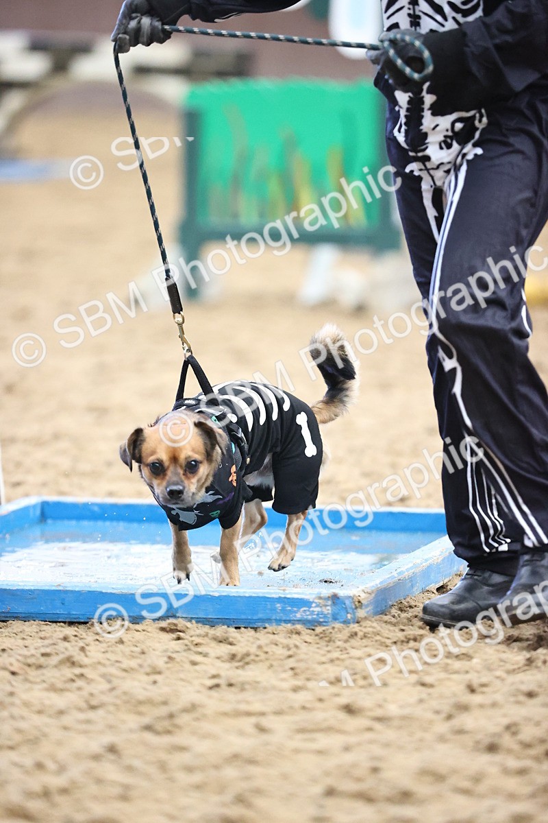 SBM_001593 - Class 3 - Horse & Hound 60cm