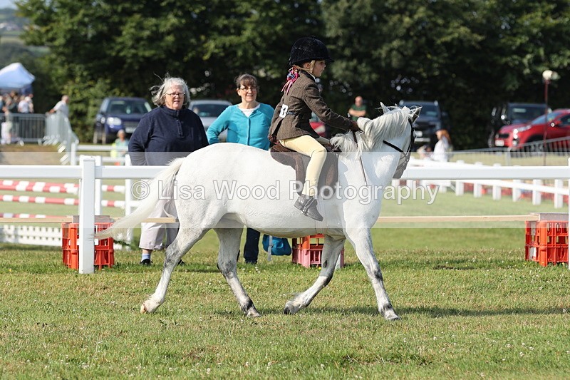 JPP_0559 - Class 15: Cornish Combination First Ridden
