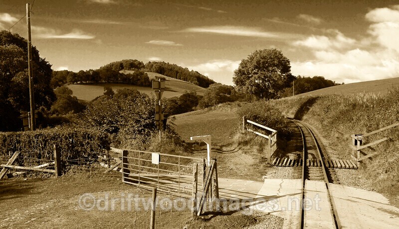 WLLR occupational level crossing near Silfaen Sta - The Welshpool & Llanfair Light Railway