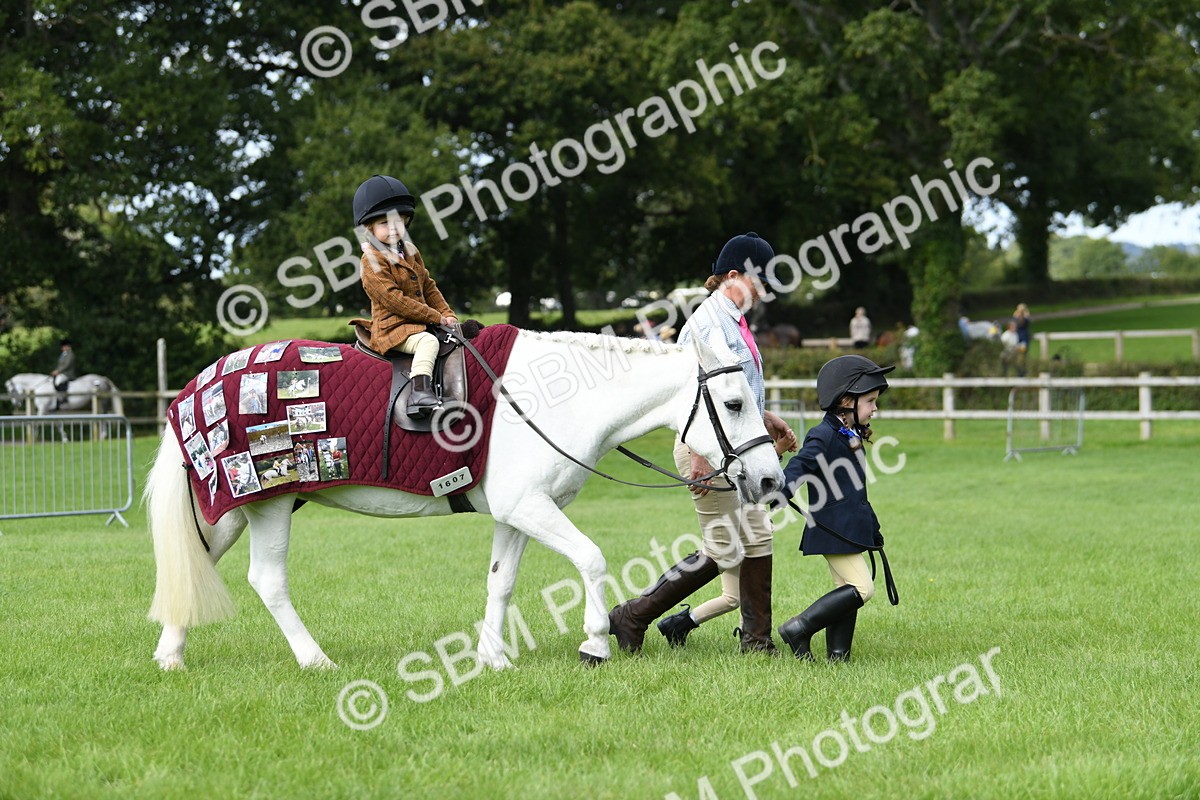 SBM_46782 - S12 - Family Horse & Pony