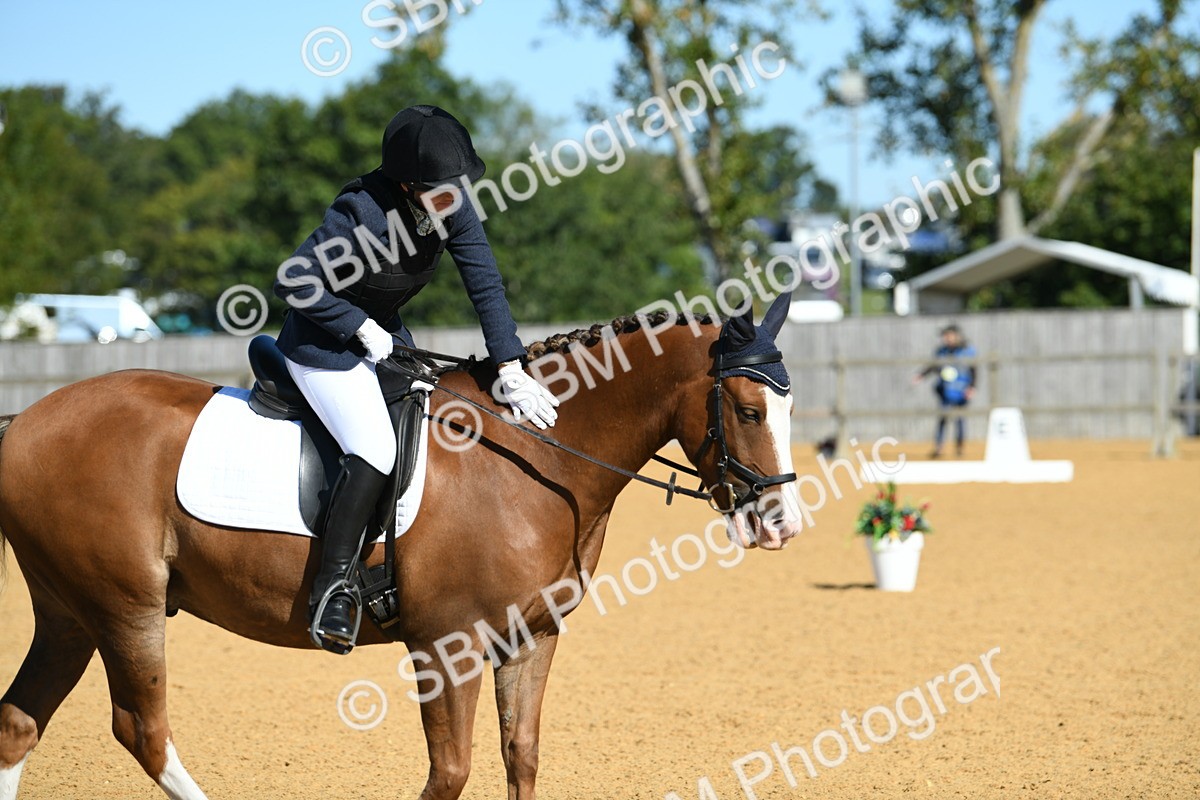 SBM_18156 - D4 - Small Tour Championship - Intro B