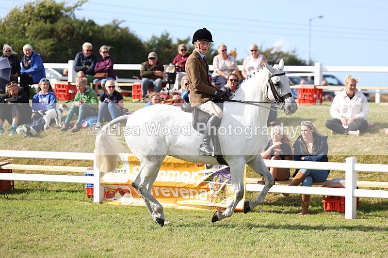 3E7A3846 - Supreme Championship