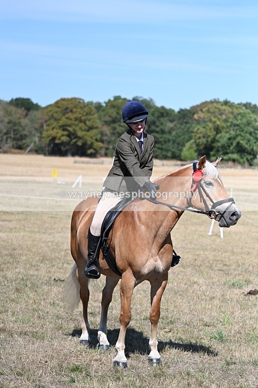 WJ7_1322 - Class 41 Prettiest Mare