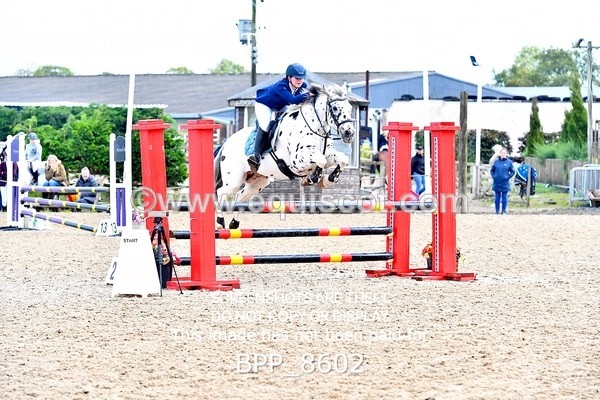 BPP_8602 - CLASS 5 Pony Discovery / 90cm Open