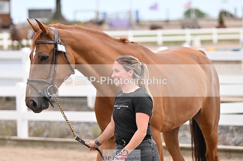 250716-151438-01816 - Trot Up 2.30 to 3.30