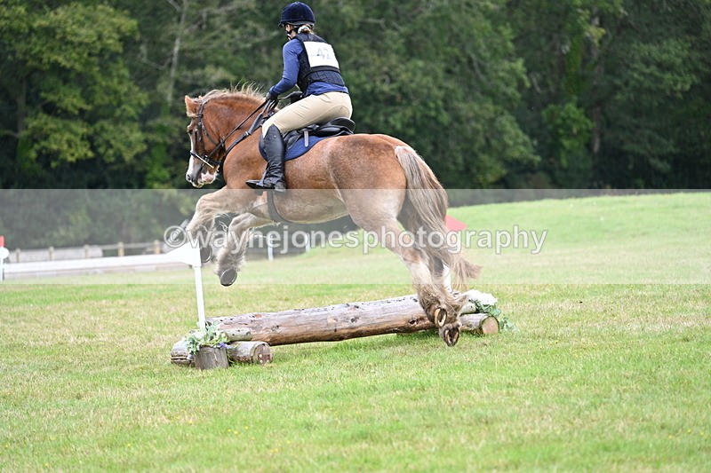 WJ7_7720 - 40cm Time 10:49 to 11:18