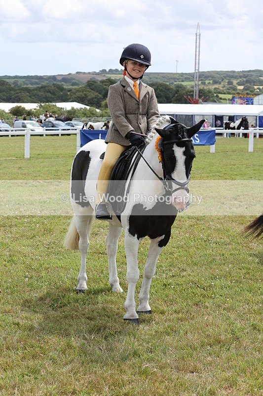 JPP_1988 - Class 18: Tiny Tots Working Hunter Pony