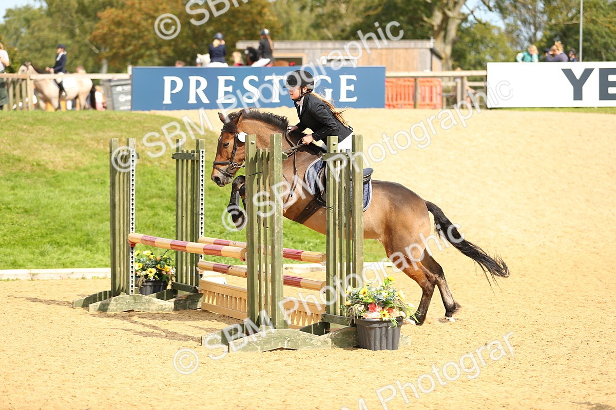 SBM_66205 - J17 - Junior Pony 80cm Championship